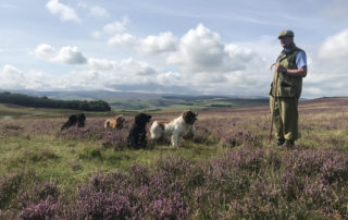 Duncan and Dogs